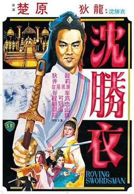 大侠沈胜衣海报