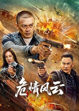 危情风云2025海报